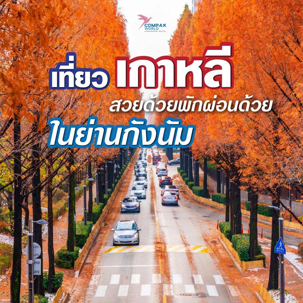 เที่ยวเกาหลี ทัวร์เกาหลี ทัวร์เกาหลีพรีเมี่ยม โปรแกรมทัวร์เกาหลี